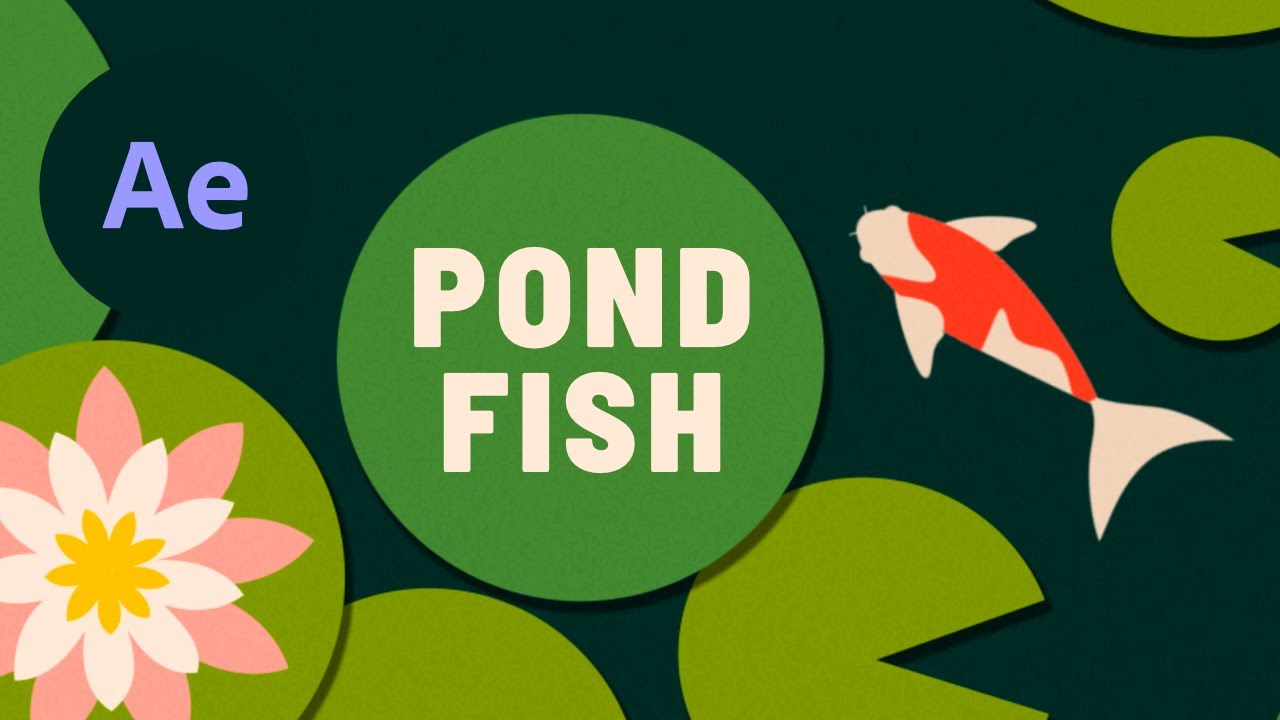 Pond Fish Animation - After Effects Tutorial #52