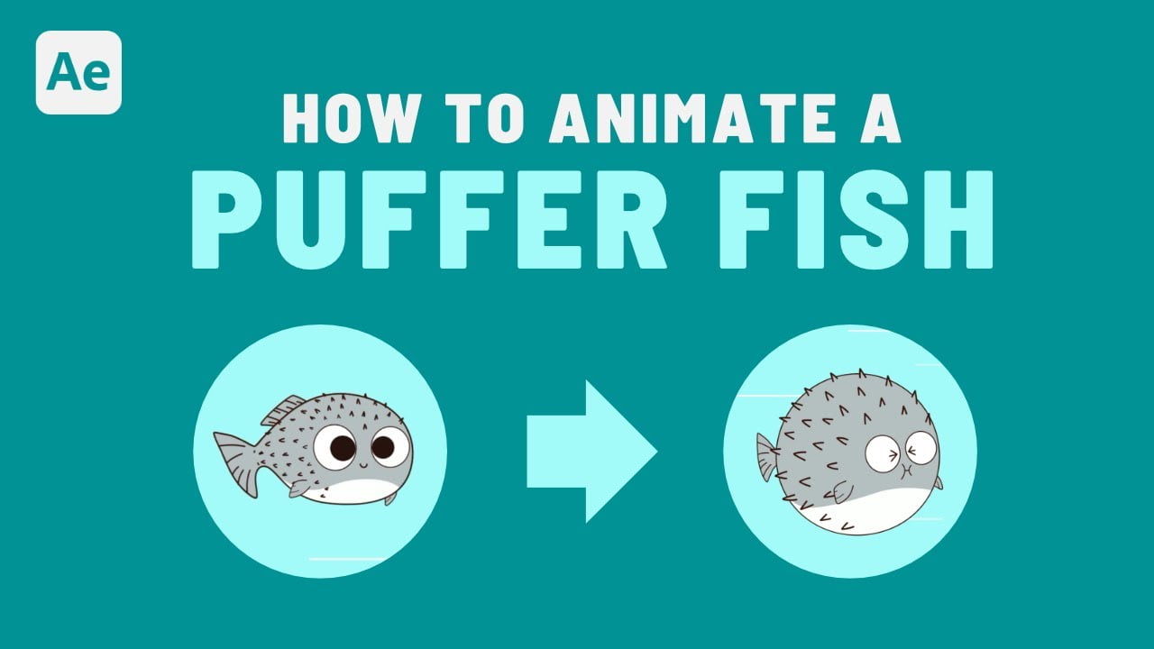 Puffer Fish Animation - After Effects Tutorial #53