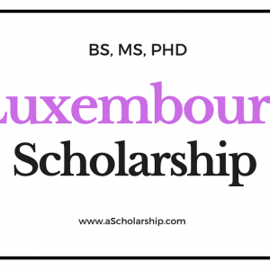 listed here are scholarships in luxembourg for worldwide college students for 2023 tutorial session
