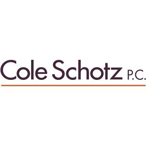 the insurance coverage solely llc a consideration for purchase promote agreements cole schotz
